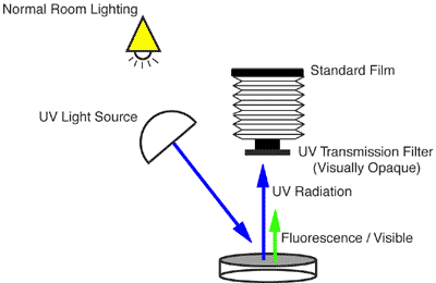 Generalised setup for reflected ultraviolet photography