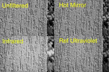 Evaluation of Nikon 990 autofocus