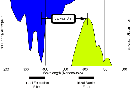 Barrier filter/fluorescence wavelength graph