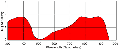 Spectral sensitivity curve for Kodak HIE 135