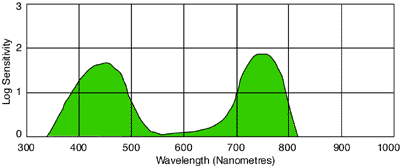 Spectral sensitivity curve of the Konica 750 IR fil
